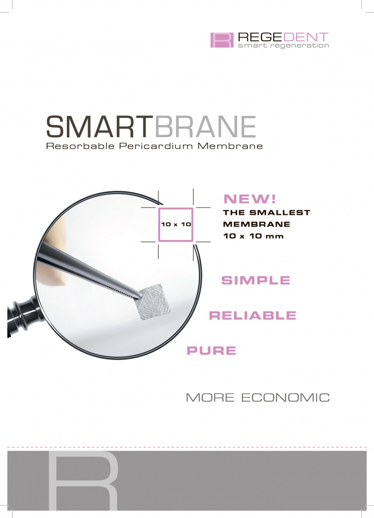 SMARTBRANE product brochure